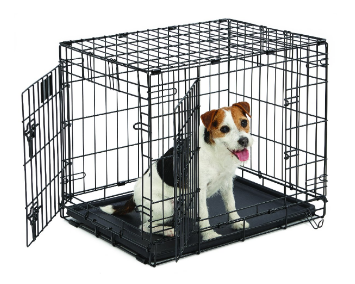 Littermate Syndrome Crate Training