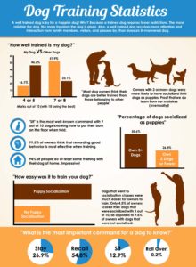 Types Of Dog Training-Dog Training Stats