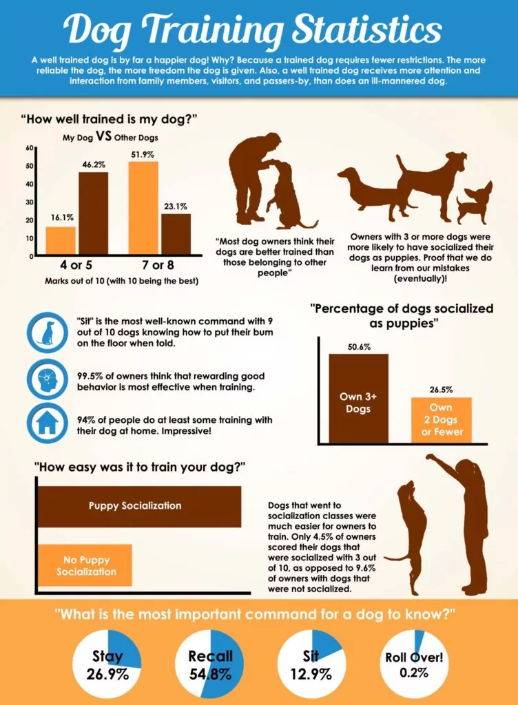 Types Of Dog Training-Dog Training Stats