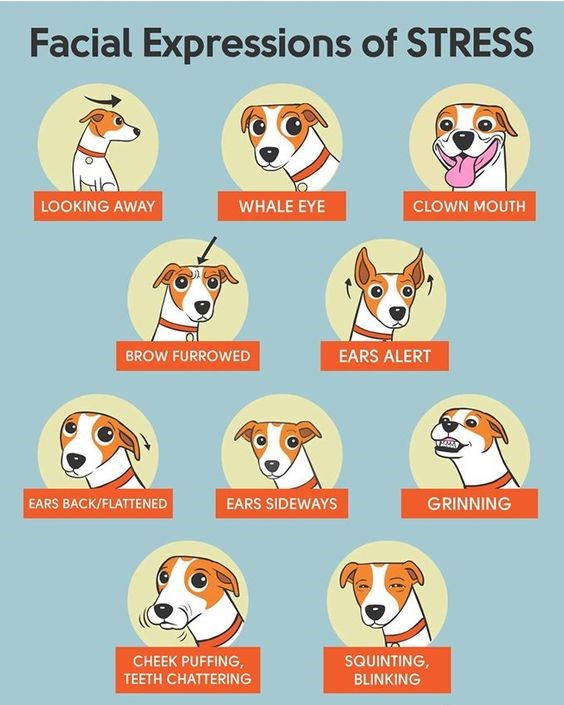 Night Environment and Routine Checklist