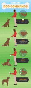 Types Of Dog Training - Obedience Training