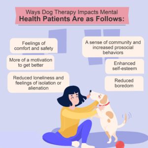 Types Of Dog Training - Therapy Dogs