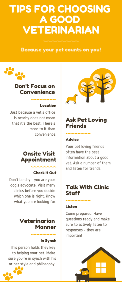 How To Stop Dog Barking At Night - Tips for choosing a good vet