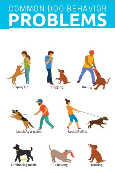 Dog Breeds