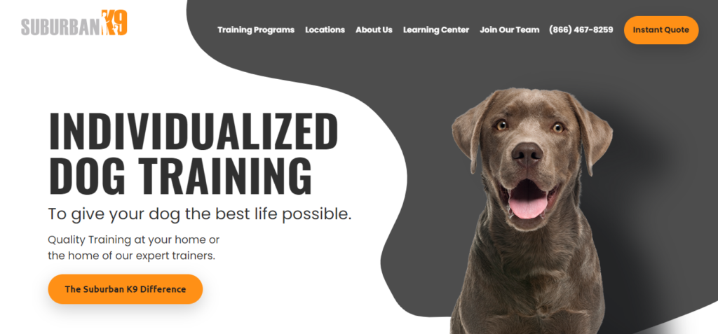 Types Of Dog Training - Suburban K9