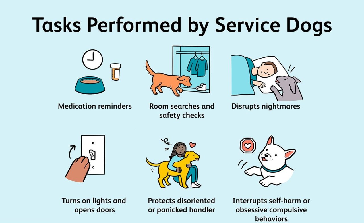 7 Famous Dog Training Methods: Modern & Popular Types 2023