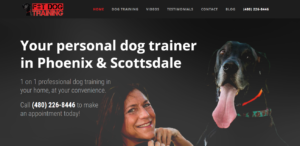 Puppy Training Phoenix - Fit Dog Training