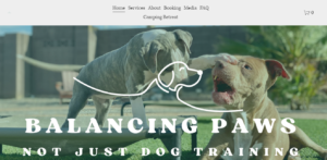 Puppy Training Phoenix - Balancing Paws