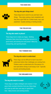 7 Famous Dog Training Methods: Modern & Popular Types 2023
