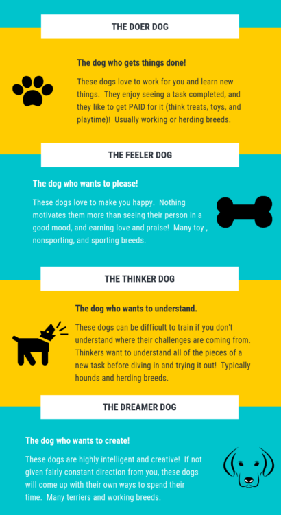 Types Of Dog Training - Dog Personality