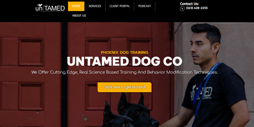 Puppy Training Phoenix - Untamed Dog Co