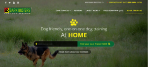 Puppy Training Phoenix - Bark Busters