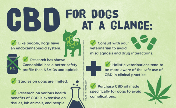 How To Stop Dog Barking At Night - CBD Oil For Dogs