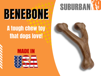 Benebone Product Review