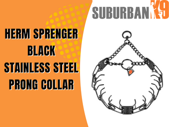 Herm Sprenger Black Stainless Steel Prong Collar