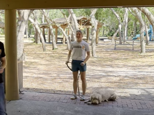 How to Pass the Canine Good Citizen Test | Suburban K9