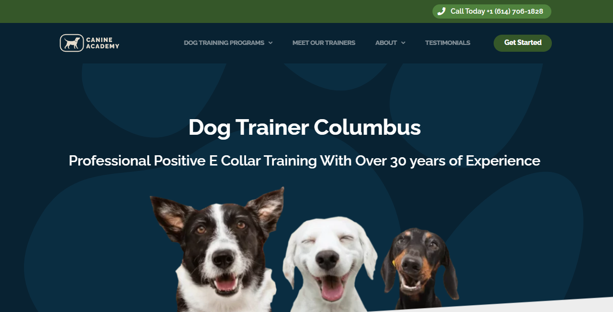 puppy training columbus
