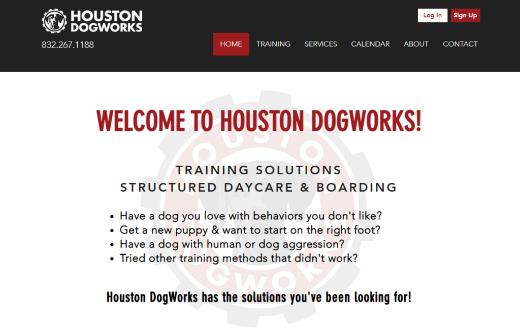 11+ Best Puppy Training Classes In Houston, TX For 2023