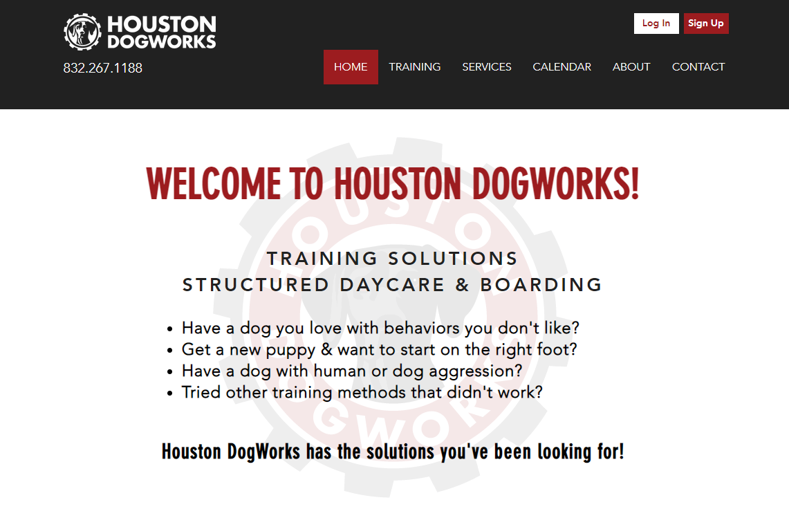 Puppy training Houston