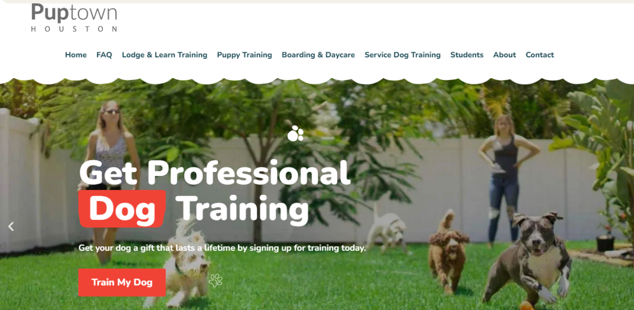 11+ Best Puppy Training Classes In Houston, TX For 2023