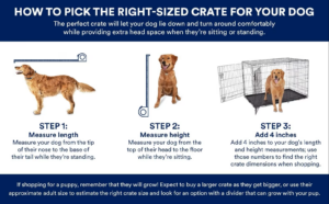 puppy crate size