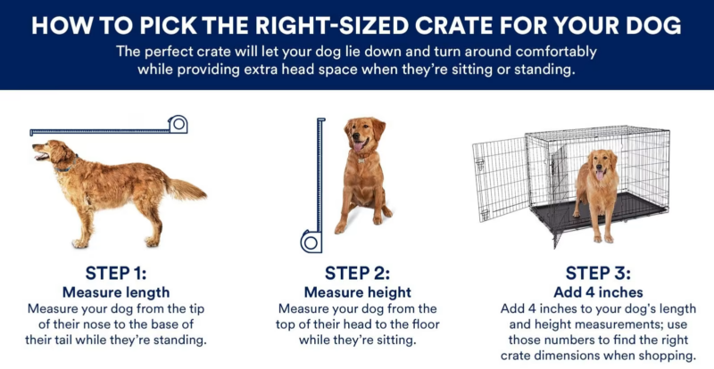 How To Crate Train A Puppy At Night (No Fuss: 8 Easy Steps) | Suburban K9