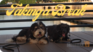 altamonte springs dog training