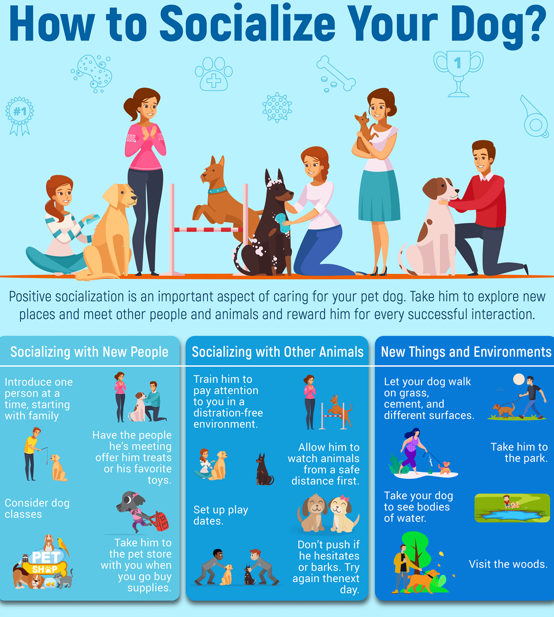 View of Easing Separation Anxiety In Dogs (Triggers + Quick Cures)