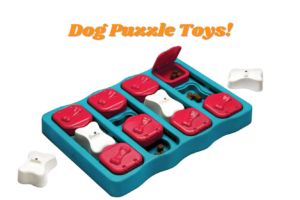 dog puzzle toy