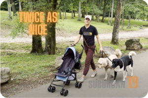 dog walking with a stroller