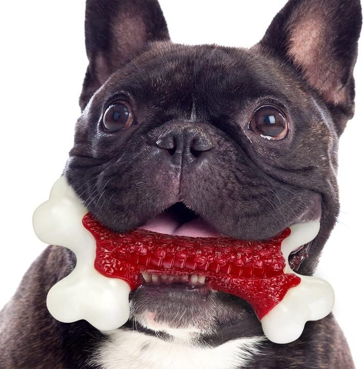 13 Best Safe Chew Toys For Puppies