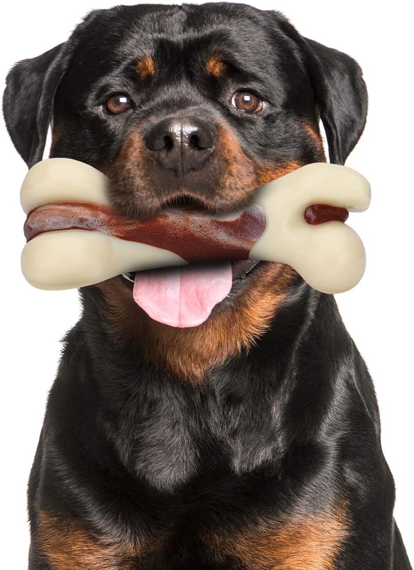 Arm & Hammer Dental Ora Play Dental T-Bone Dog Toy