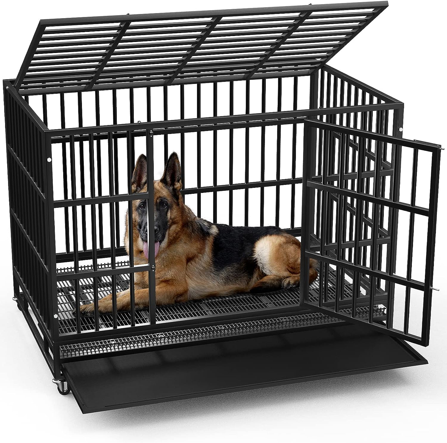Best Dog Crates For Large Dogs