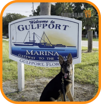 Gulfport dog Training
