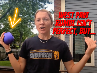 WestPaw Rumbl