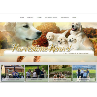 harvestime kennel recommended dog businesses