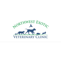 northwest exotic veterinary clinic recommended dog businesses
