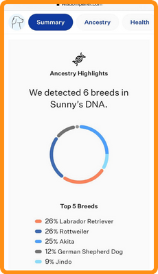 ancestry suburban k9 dog dna test