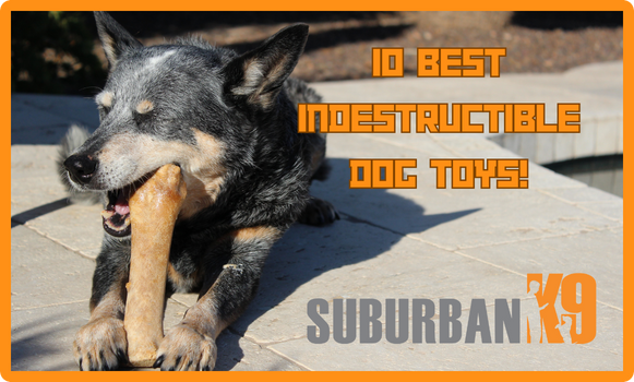 indestructible dog toys