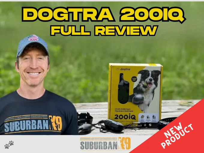 Dogtra 200 IQ Review