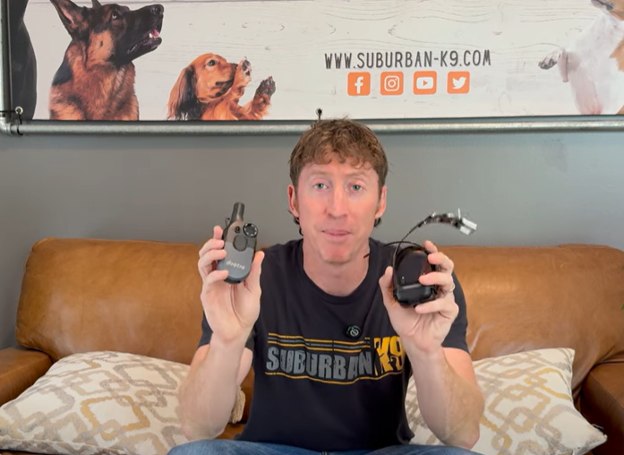 Dogtra 200IQ Product Review