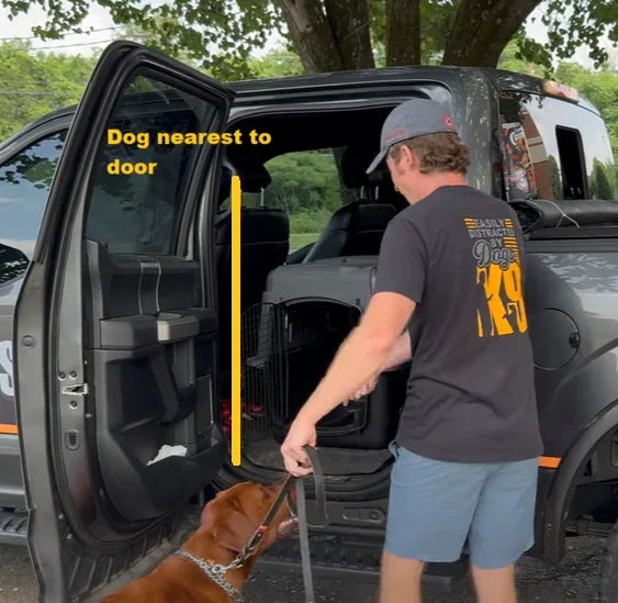 Get Large Dog in Car