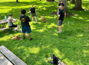 Becoming a Dog Trainer