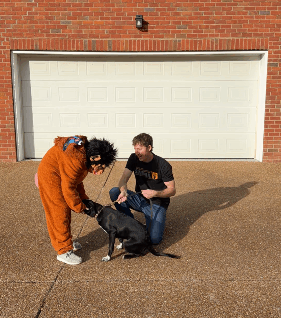 Halloween Dog Greeting