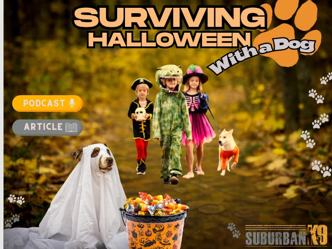 Halloween With Your Dog